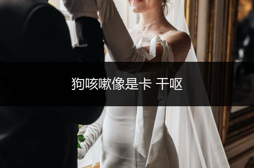 狗咳嗽像是卡 干嘔