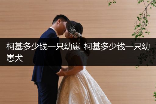 柯基多少錢一只幼崽_柯基多少錢一只幼崽犬