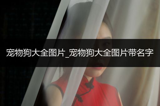 寵物狗大全圖片_寵物狗大全圖片帶名字