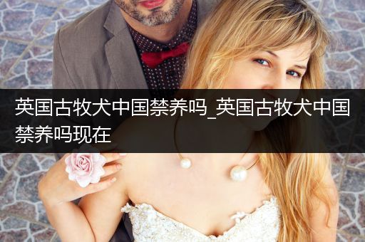 英國古牧犬中國禁養(yǎng)嗎_英國古牧犬中國禁養(yǎng)嗎現(xiàn)在