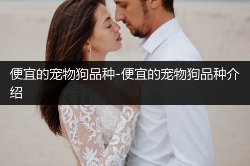 便宜的寵物狗品種-便宜的寵物狗品種介紹