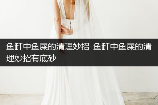 魚缸中魚屎的清理妙招-魚缸中魚屎的清理妙招有底砂