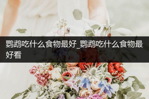 鸚鵡吃什么食物最好_鸚鵡吃什么食物最好看