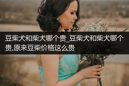 豆柴犬和柴犬哪個(gè)貴_豆柴犬和柴犬哪個(gè)貴,原來豆柴價(jià)格這么貴