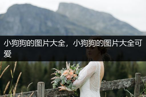 小狗狗的圖片大全，小狗狗的圖片大全可愛