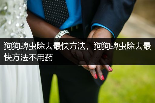 狗狗蜱蟲除去最快方法，狗狗蜱蟲除去最快方法不用藥
