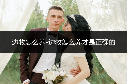 邊牧怎么養(yǎng)-邊牧怎么養(yǎng)才是正確的