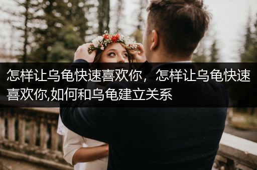 怎樣讓烏龜快速喜歡你，怎樣讓烏龜快速喜歡你,如何和烏龜建立關(guān)系