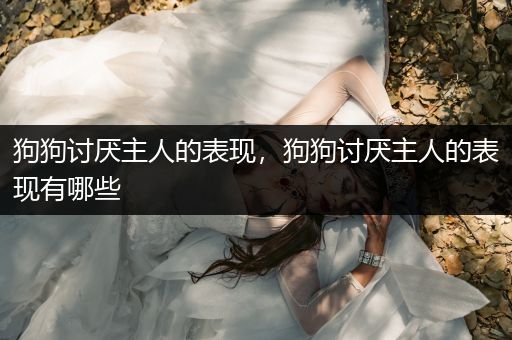 狗狗討厭主人的表現(xiàn)，狗狗討厭主人的表現(xiàn)有哪些