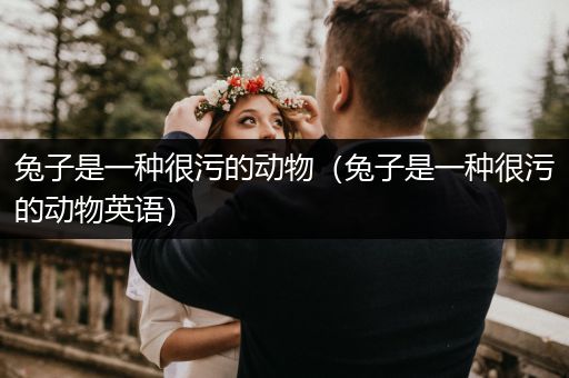兔子是一種很污的動(dòng)物（兔子是一種很污的動(dòng)物英語(yǔ)）