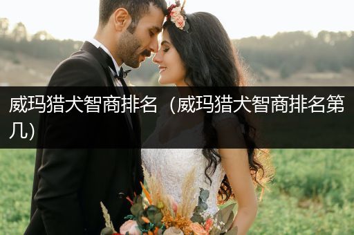 威瑪獵犬智商排名（威瑪獵犬智商排名第幾）