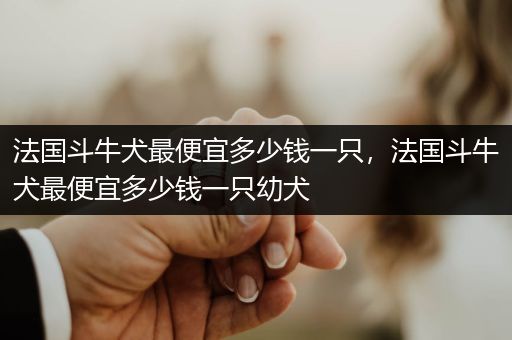 法國斗牛犬最便宜多少錢一只，法國斗牛犬最便宜多少錢一只幼犬