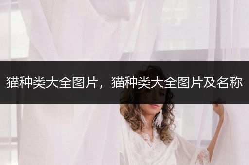 貓種類大全圖片，貓種類大全圖片及名稱