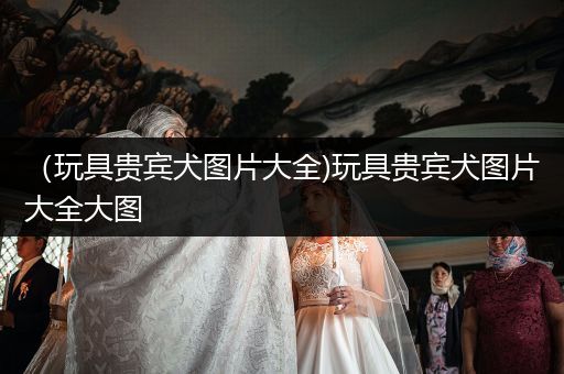 （玩具貴賓犬圖片大全)玩具貴賓犬圖片大全大圖