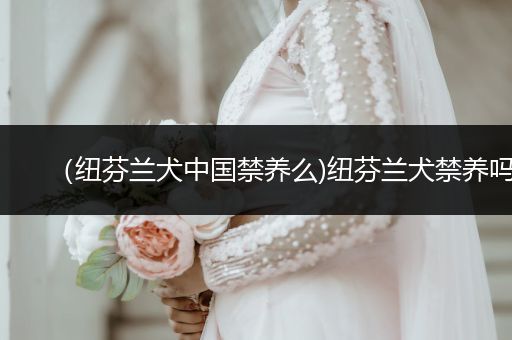 （紐芬蘭犬中國禁養(yǎng)么)紐芬蘭犬禁養(yǎng)嗎
