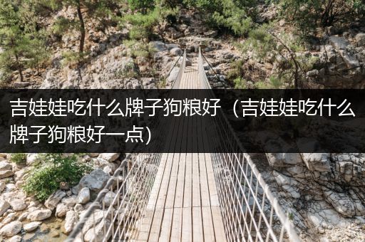 吉娃娃吃什么牌子狗糧好（吉娃娃吃什么牌子狗糧好一點(diǎn)）