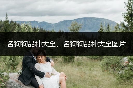 名狗狗品種大全，名狗狗品種大全圖片