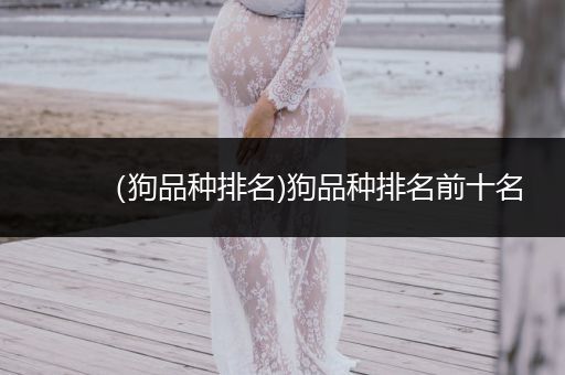 （狗品種排名)狗品種排名前十名
