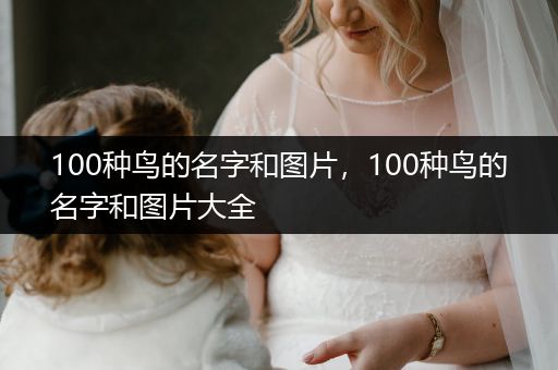 100種鳥(niǎo)的名字和圖片，100種鳥(niǎo)的名字和圖片大全