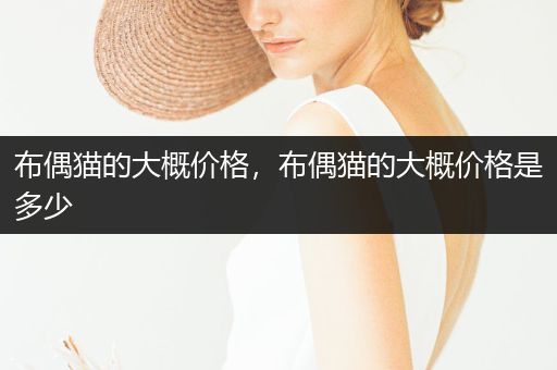 布偶貓的大概價(jià)格，布偶貓的大概價(jià)格是多少