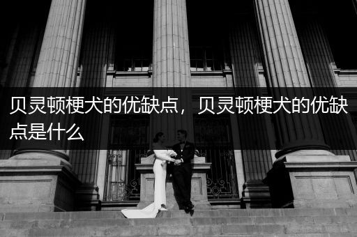 貝靈頓梗犬的優(yōu)缺點(diǎn)，貝靈頓梗犬的優(yōu)缺點(diǎn)是什么