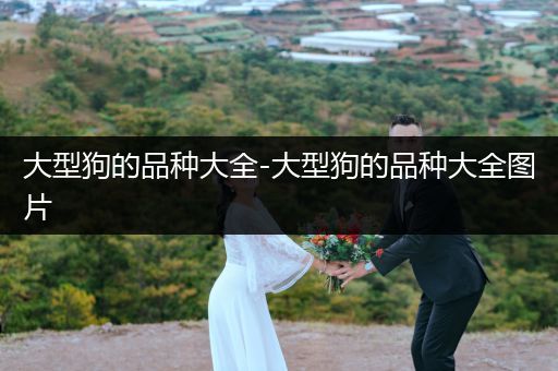 大型狗的品種大全-大型狗的品種大全圖片