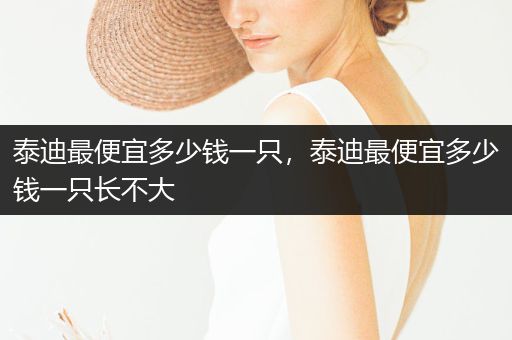 泰迪最便宜多少錢一只，泰迪最便宜多少錢一只長不大