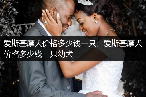 愛(ài)斯基摩犬價(jià)格多少錢一只，愛(ài)斯基摩犬價(jià)格多少錢一只幼犬