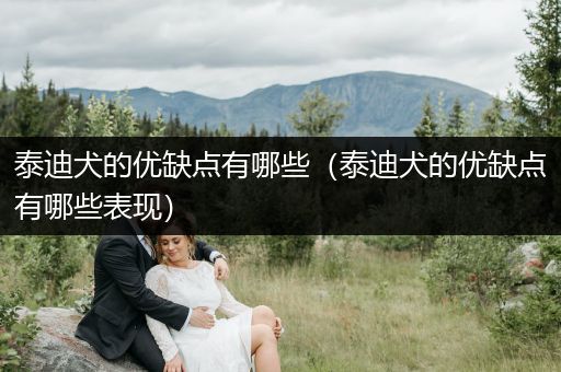 泰迪犬的優(yōu)缺點(diǎn)有哪些（泰迪犬的優(yōu)缺點(diǎn)有哪些表現(xiàn)）