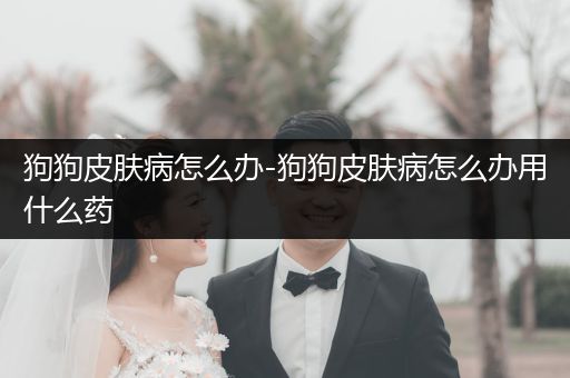 狗狗皮膚病怎么辦-狗狗皮膚病怎么辦用什么藥