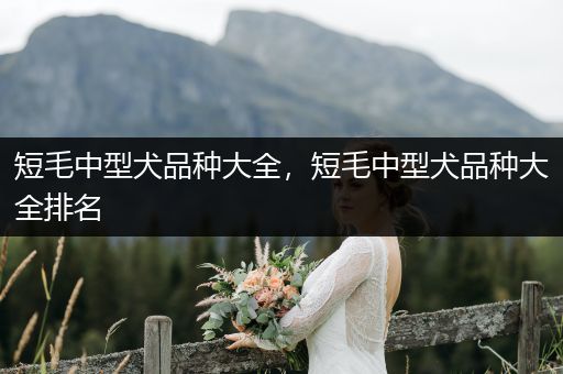 短毛中型犬品種大全，短毛中型犬品種大全排名