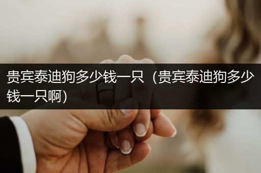 貴賓泰迪狗多少錢一只（貴賓泰迪狗多少錢一只?。?>
                                </a>
                            </div>
                            <p><a href=
