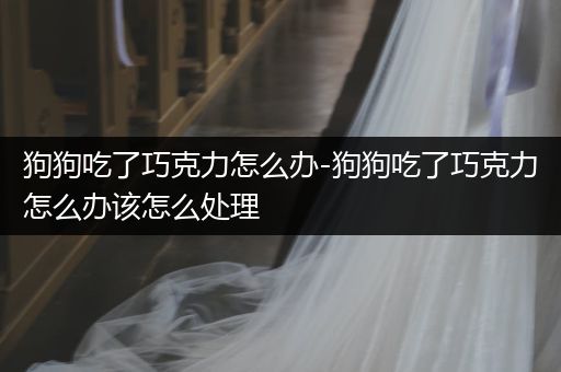 狗狗吃了巧克力怎么辦-狗狗吃了巧克力怎么辦該怎么處理