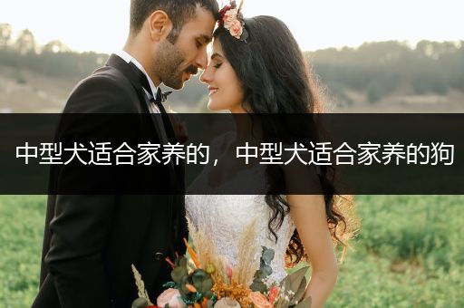 中型犬適合家養(yǎng)的，中型犬適合家養(yǎng)的狗