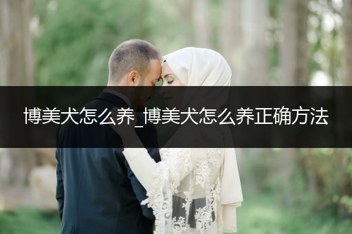 博美犬怎么養(yǎng)_博美犬怎么養(yǎng)正確方法