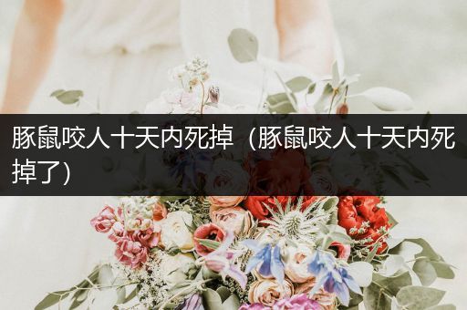 豚鼠咬人十天內(nèi)死掉（豚鼠咬人十天內(nèi)死掉了）