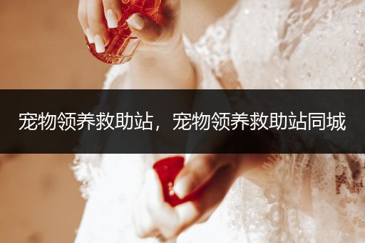 寵物領(lǐng)養(yǎng)救助站，寵物領(lǐng)養(yǎng)救助站同城