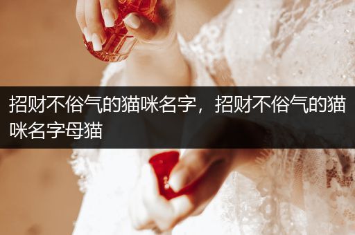 招財(cái)不俗氣的貓咪名字，招財(cái)不俗氣的貓咪名字母貓