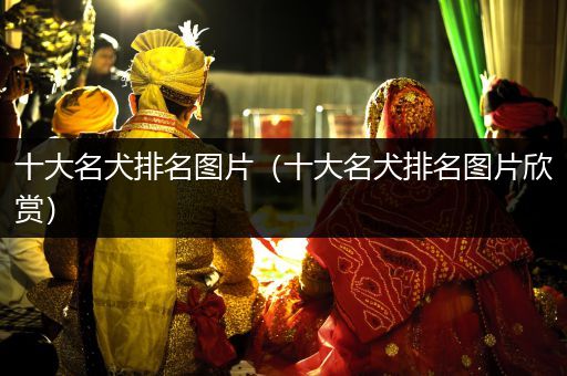 十大名犬排名圖片（十大名犬排名圖片欣賞）