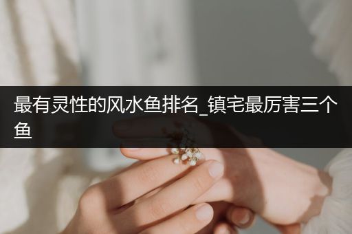 最有靈性的風(fēng)水魚排名_鎮(zhèn)宅最厲害三個(gè)魚