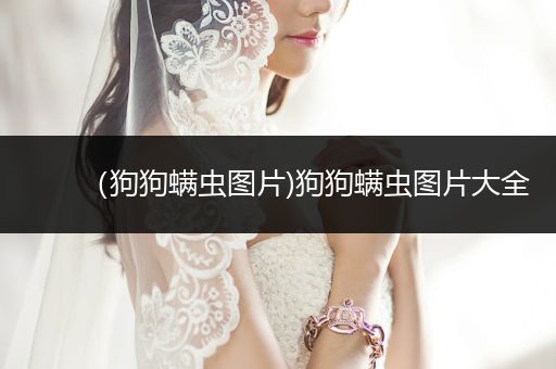 （狗狗螨蟲圖片)狗狗螨蟲圖片大全