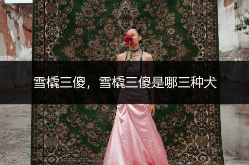 雪橇三傻，雪橇三傻是哪三種犬