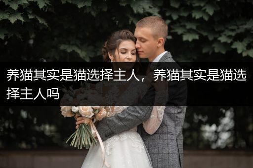 養(yǎng)貓其實(shí)是貓選擇主人，養(yǎng)貓其實(shí)是貓選擇主人嗎