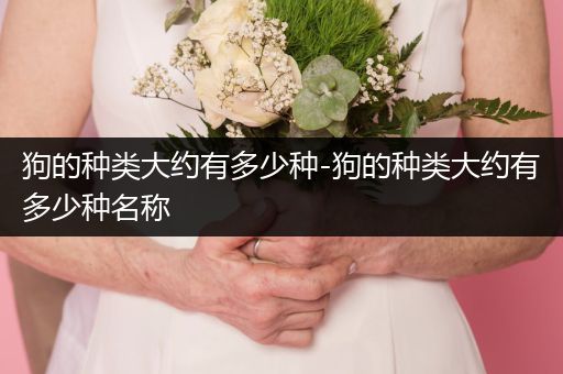 狗的種類大約有多少種-狗的種類大約有多少種名稱