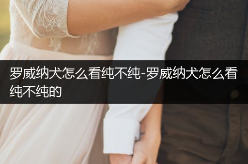 羅威納犬怎么看純不純-羅威納犬怎么看純不純的