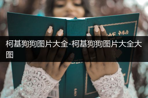 柯基狗狗圖片大全-柯基狗狗圖片大全大圖