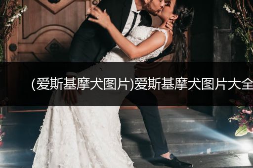 （愛斯基摩犬圖片)愛斯基摩犬圖片大全