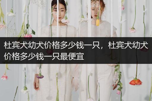 杜賓犬幼犬價(jià)格多少錢(qián)一只，杜賓犬幼犬價(jià)格多少錢(qián)一只最便宜