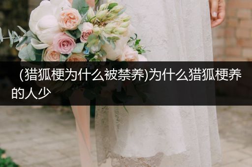 （獵狐梗為什么被禁養(yǎng))為什么獵狐梗養(yǎng)的人少