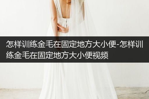 怎樣訓(xùn)練金毛在固定地方大小便-怎樣訓(xùn)練金毛在固定地方大小便視頻